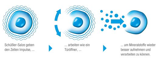 BIOCHEMIE DHU 3 Ferrum phosphoricum D 6 Tablet, 200 Kapsül