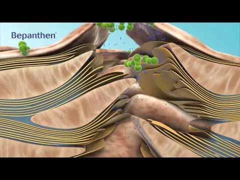 Bepanthen Sensiderm krem, 20 gr hakkında video