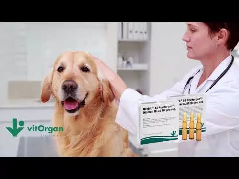 NeyDIL® No. 68 Revitorgan® D4 pro vet.Ampuller, 5X2 ml hakkında video