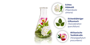 GELENCIUM artro karışım, 2X100 ml