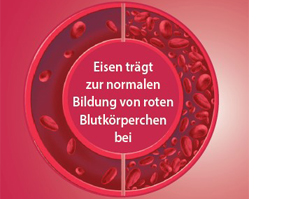 EISEN DIREKT artı C vitamini+folik asit+B12 tozu, 60 adet