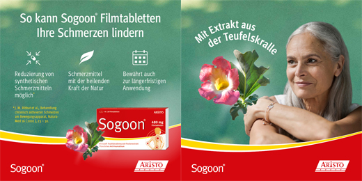 SOGOON 480 mg film kaplı tablet, 20 adet