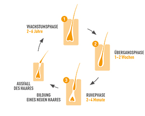 BIO-H-TIN Hair Essentials Mikro Besin Kapsülleri, 90 Kapsül