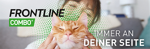 FRONTLINE Combo Spot on cat solüsyonu, cilde uygulama için, 6 adet