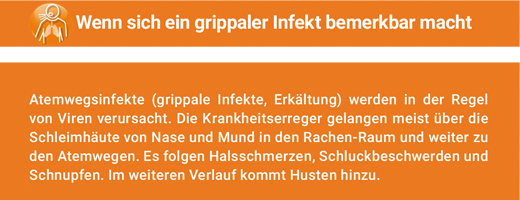 ANGOCIN Anti Infekt N film kaplı tabletler, 200 adet