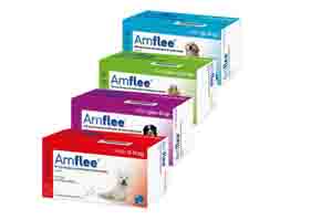 AMFLEE 10-20 kg orta boy köpekler için 134 mg spot solüsyon, 3 adet