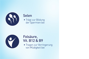 erkekler içinELEVIT Tablet, 30 Kapsül
