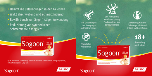 SOGOON 480 mg film kaplı tablet, 20 adet