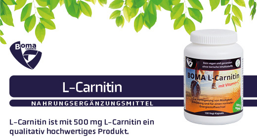 L-CARNITIN 500 kapsül, 100 adet