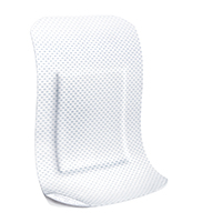 LEUKOPLAST yumuşak beyaz sıva şeritleri 38x72 mm, 10 adet