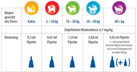 AMFLEE 10-20 kg orta boy köpekler için 134 mg spot solüsyon, 3 adet