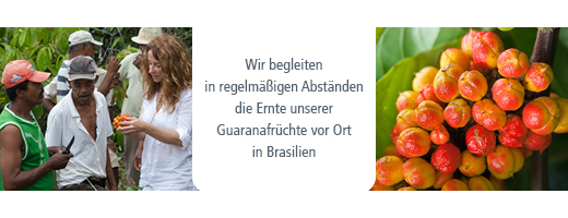 GUARANA TOZ, 100 g
