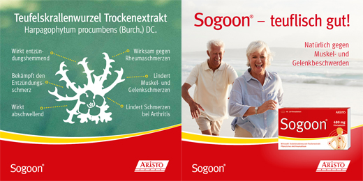 SOGOON 480 mg film kaplı tablet, 20 adet