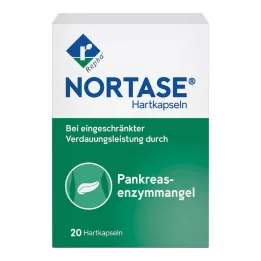 NORTASE Kapsüller, 20 adet