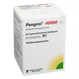 PANGROL 40.000 Enterik kaplı kabuklu sert kapsül, 50 adet