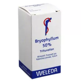 BRYOPHYLLUM Ağızdan kullanım için %50 toz, 20 g
