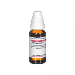 CARDIOSPERMUM D 1 seyreltme, 20 ml