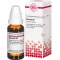 CLEMATIS D 6 seyreltme, 20 ml