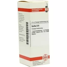 SCILLA D 6 seyreltme, 20 ml