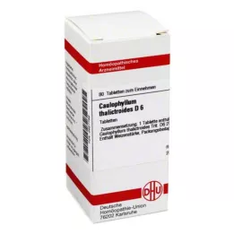 CAULOPHYLLUM THALICTROIDES D 6 Tablet, 80 Kapsül