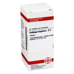 SOLIDAGO VIRGAUREA D 4 Tablet, 80 Kapsül