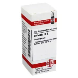 BERBERIS D 6 globül, 10 g