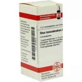 RHUS TOXICODENDRON D 10 globül, 10 g