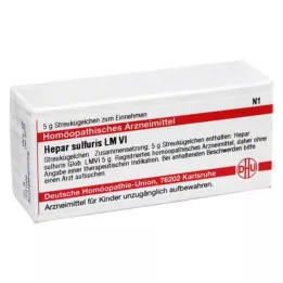 HEPAR SULFURIS LM VI Globül, 5 g