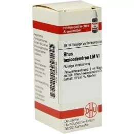 RHUS TOXICODENDRON LM VI Seyreltme, 10 ml