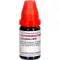 GRAPHITES LM XII Seyreltme, 10 ml