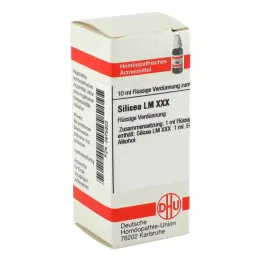 SILICEA LM XXX Seyreltme, 10 ml