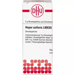 HEPAR SULFURIS LM XXX Globül, 5 g