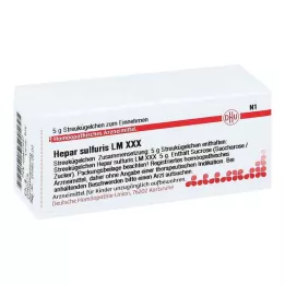HEPAR SULFURIS LM XXX Globül, 5 g