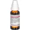 CURCUMA LONGA D 4 seyreltme, 20 ml