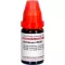 ABROTANUM LM XXX Seyreltme, 10 ml