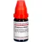 PHOSPHORUS LM XXX Seyreltme, 10 ml