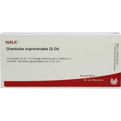 GLANDULAE SUPRARENALES GL D 4 ampul, 10X1 ml GLANDULAE SUPRARENALES GL D 4 ampul, 10X1 ml