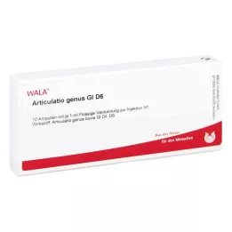 ARTICULATIO cins GL D 6 ampul, 10X1 ml