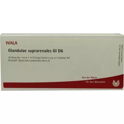 GLANDULAE SUPRARENALES GL D 6 ampul, 10X1 ml GLANDULAE SUPRARENALES GL D 6 ampul, 10X1 ml