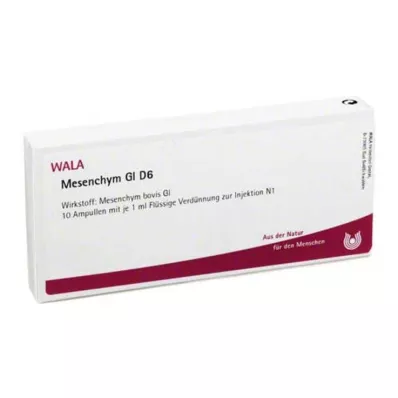 MESENCHYM GL D 6 ampul, 10X1 ml