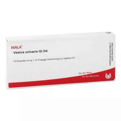 VESICA URINARIA GL D 4 ampul, 10X1 ml VESICA URINARIA GL D 4 ampul, 10X1 ml