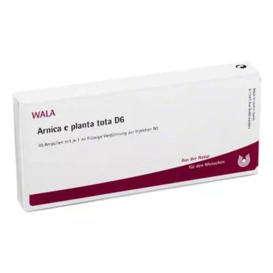 ARNICA E Planta tota D 6 ampul, 10X1 ml