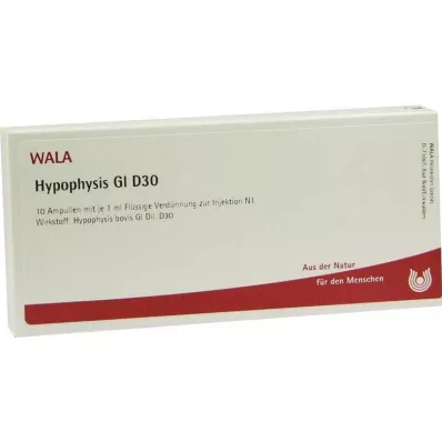 HYPOPHYSIS GL D 30 ampul, 10X1 ml