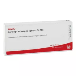 CARTILAGO articularis cinsi GL D 30 ampul, 10X1 ml