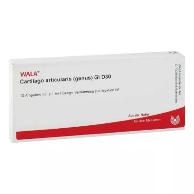 CARTILAGO articularis cinsi GL D 30 ampul, 10X1 ml