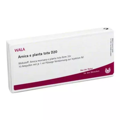ARNICA E Planta tota D 20 ampul, 10X1 ml