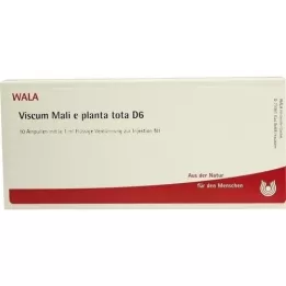 VISCUM MALI e planta tota D 6 ampul, 10X1 ml