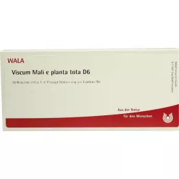 VISCUM MALI e planta tota D 6 ampul, 10X1 ml