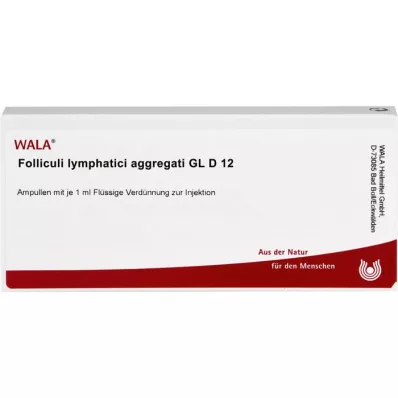 FOLLICULI LYMPHATICI agregati GL D 12 ampul, 10X1 ml