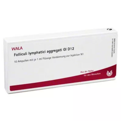 FOLLICULI LYMPHATICI agregati GL D 12 ampul, 10X1 ml